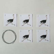 Load image into Gallery viewer, Ostrich Wrapping Paper and Tags
